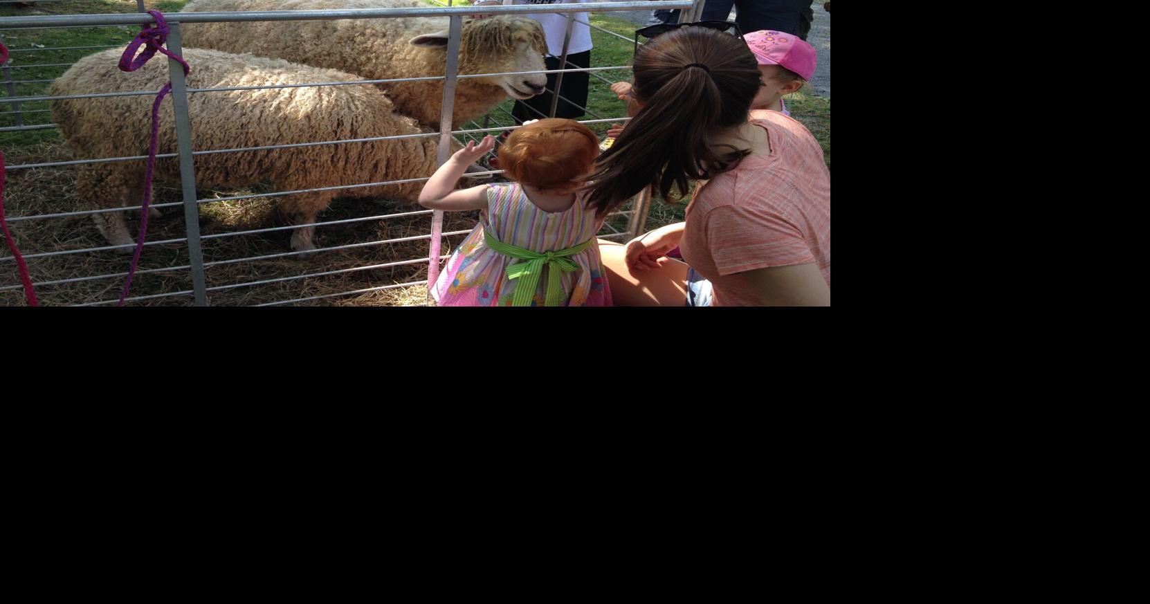 Annual Bluemont Fair in Virginia Arts & entertainment