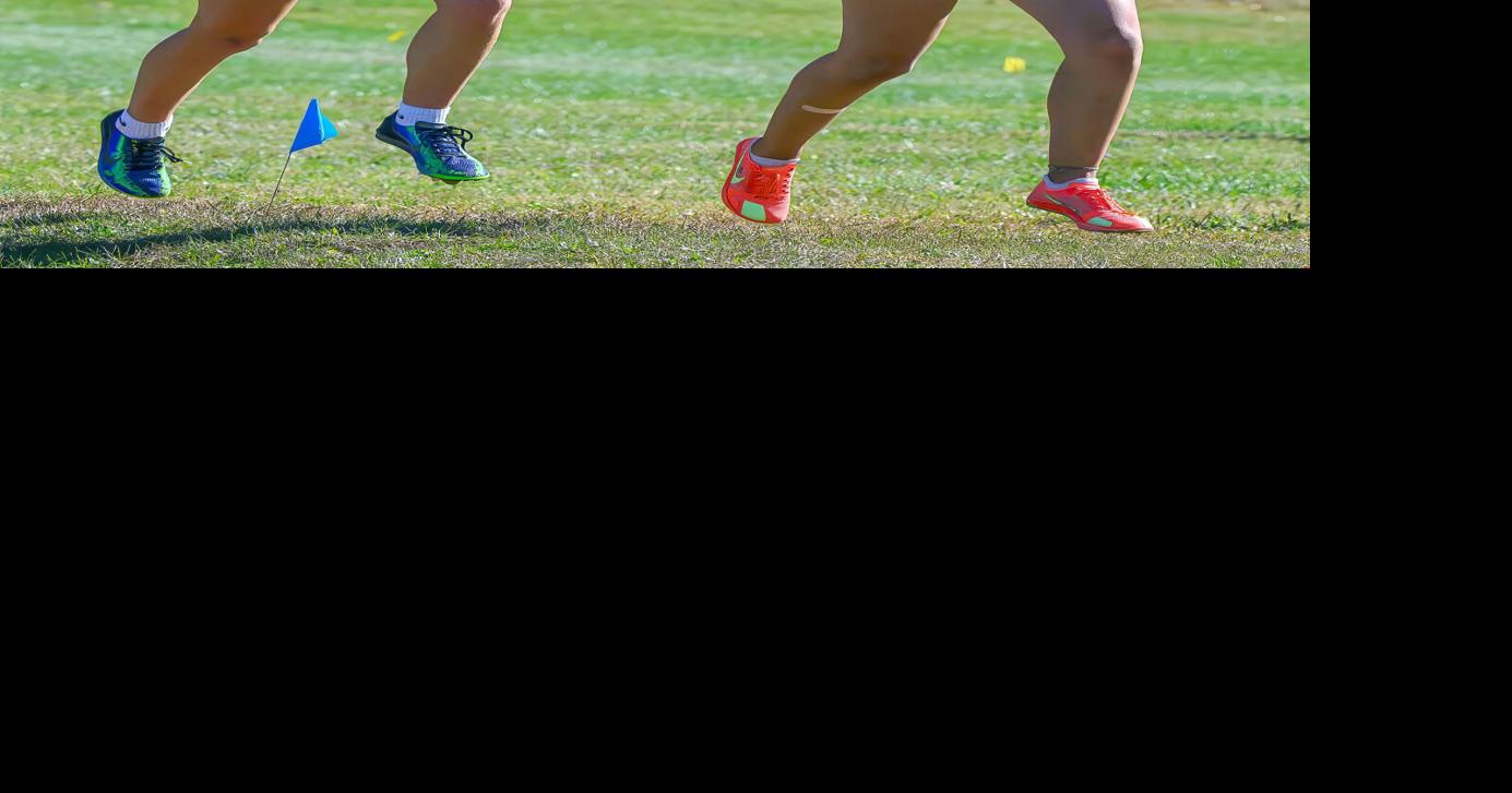 TJ girls' blend of backgrounds produces FCPS cross-country championship