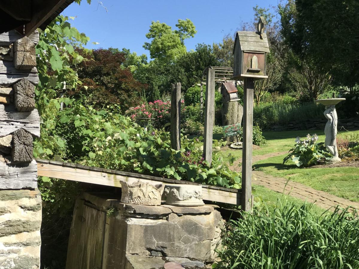 Nursery Spotlight Surreybrooke Provides Inspiration And Retail Nursery Spotlight Surreybrooke