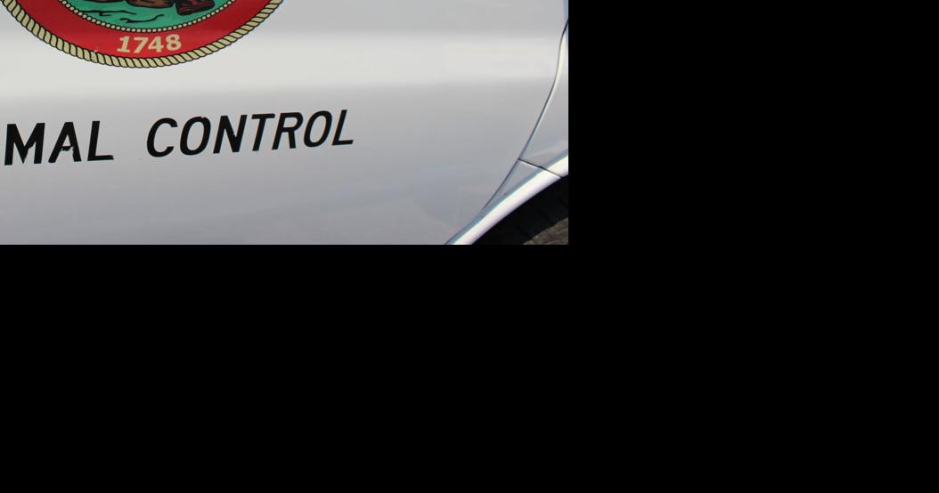 Frederick County Animal Control reopening for inperson interaction