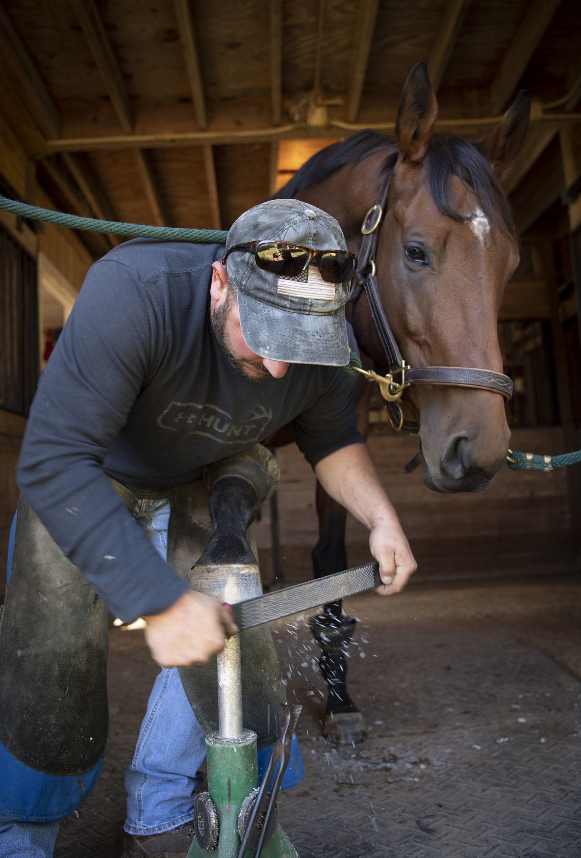 A real shooin Local farrier endures tough job to ensure horses can