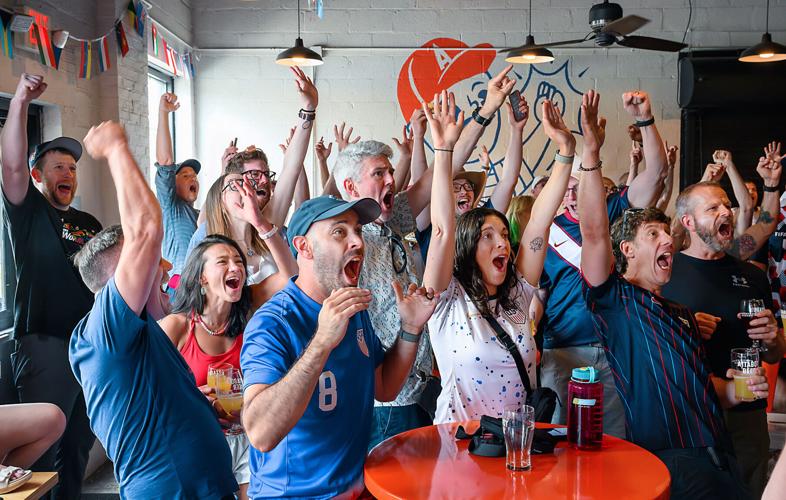 FIFA Fans Frenzy