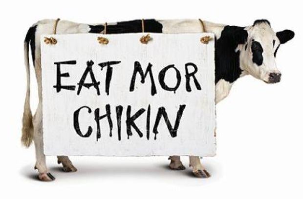 ChikFilA_coweatmorchikin