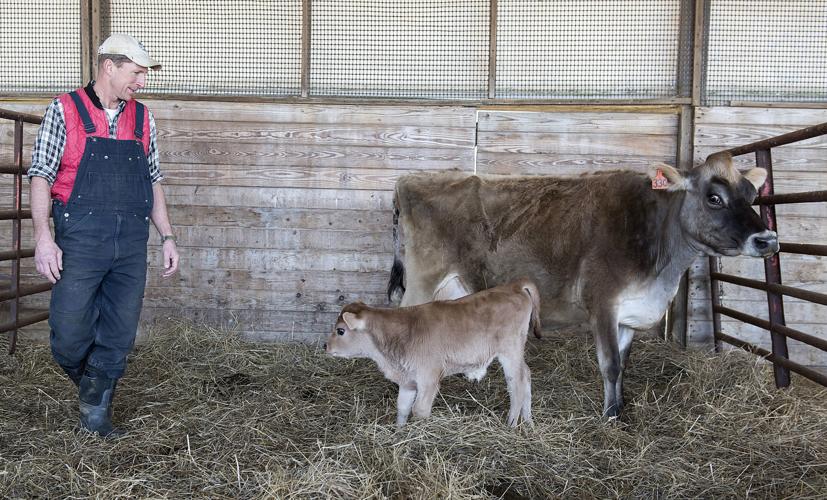 Frederick's Farms: Father-son team find future in dairy on ...