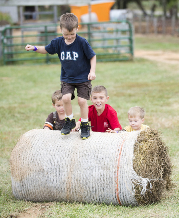 Redneck Games Part Of Opening Day At Crumland Farms Arts Entertainment Fredericknewspost Com