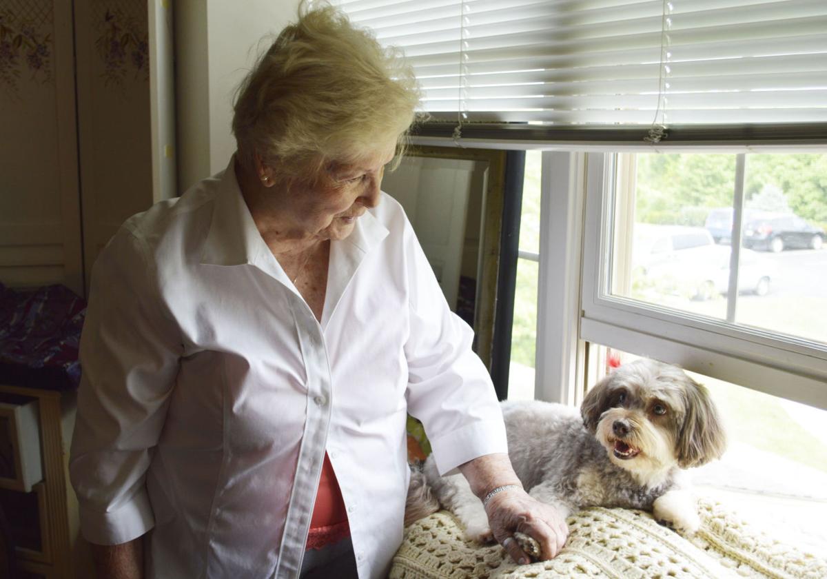 Dog Saves Cat Earns Bag Of Treats Frederick County