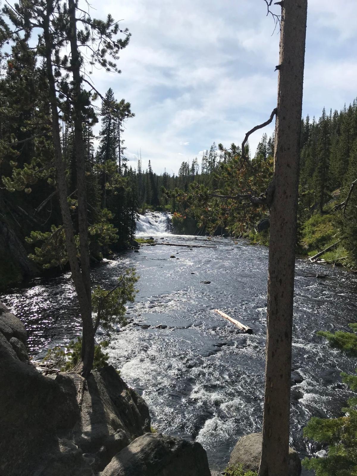 How To Do Yellowstone And Grand Teton National Parks Right