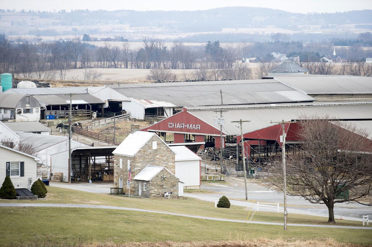 Char Mar Dairy Farm S Upcoming Sale At Auction Evidence Of Dried