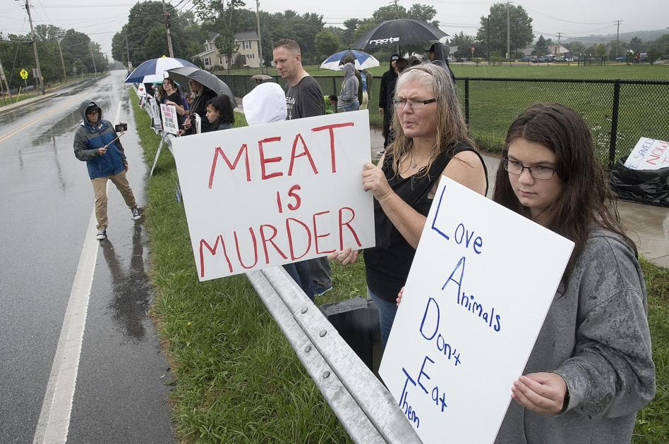 Get Wallpaper Activists Protest Meat Processor In Mount Airy Agriculture For iPhone