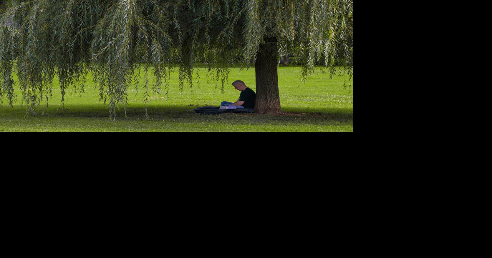 At rest