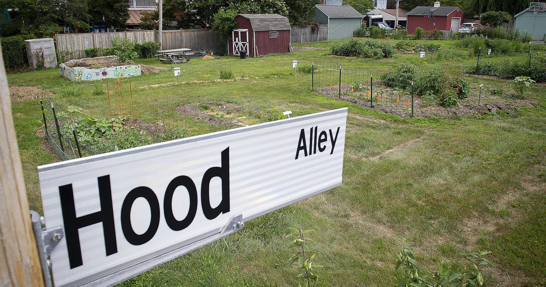 Grants awarded to organizations fighting food insecurity - Vimarsana News