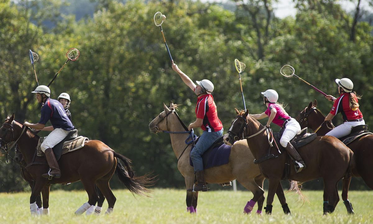 Polocrosse — Lacrosse on horseback A more relaxed horse sport Pets