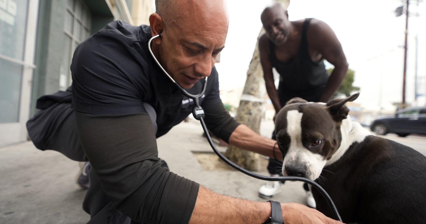 Nearly 1/3 of the US homeless population lives in California. This veterinarian cares for the pets - Vimarsana News
