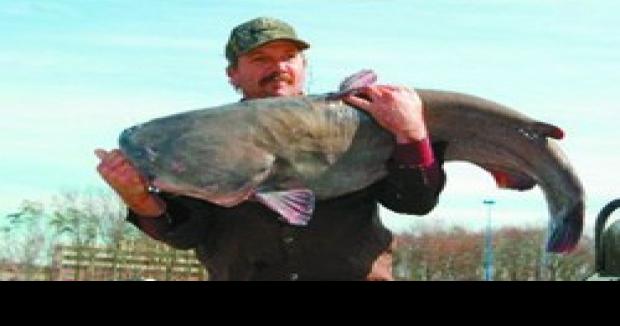 Tidal Potomac River blue catfish is a new state record