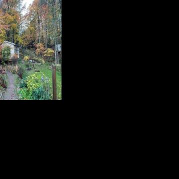 Sweden sees silent forests as sanctuaries from a noisy world