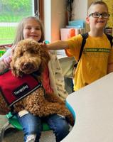Green Meadows welcomes new therapy dog