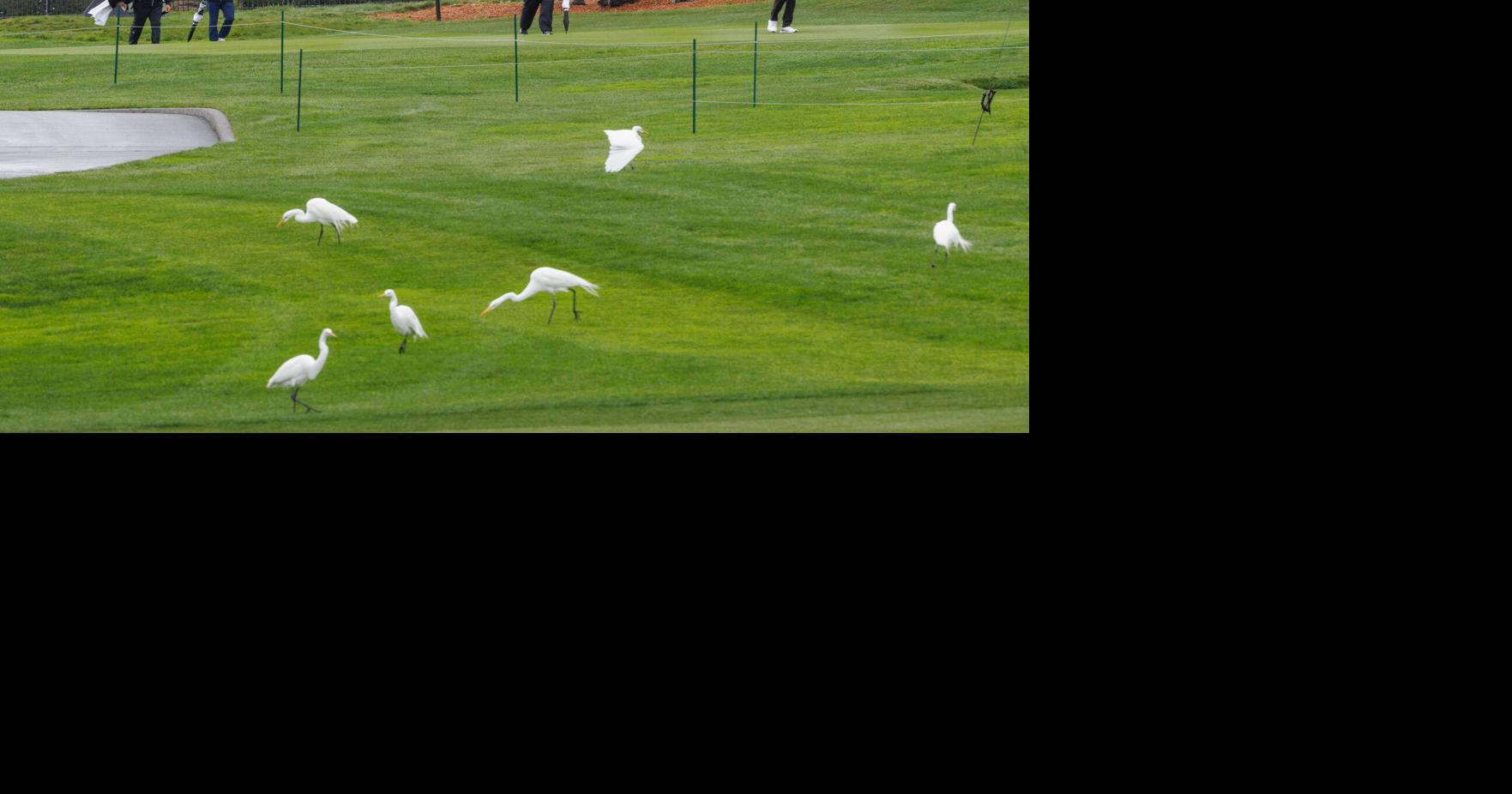 AT&T Pebble Beach Pro-Am Golf