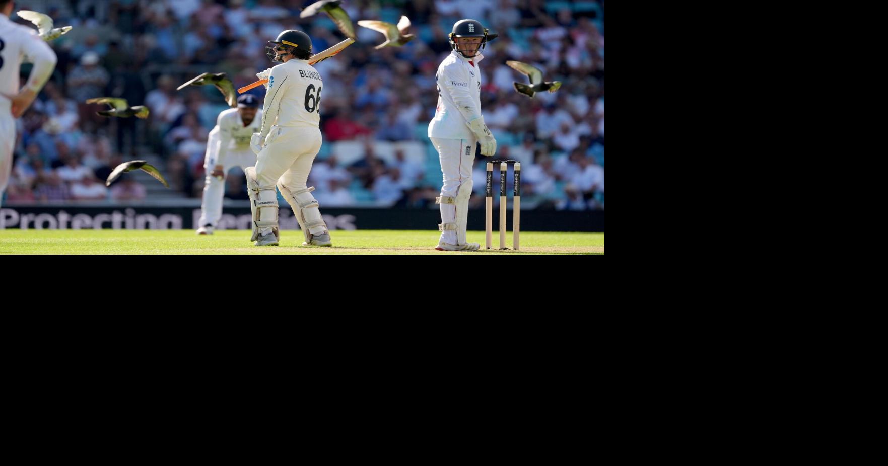 Britain England New Zealand Cricket