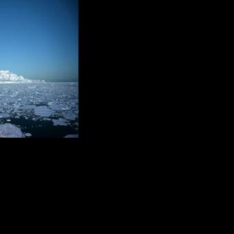 Antarctic sea ice improves after four years of extreme lows: US scientists