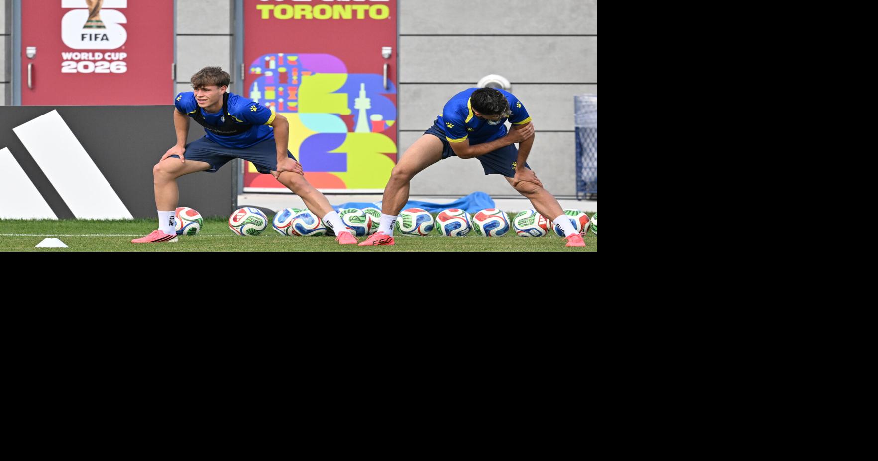 Bosnia WCup Soccer
