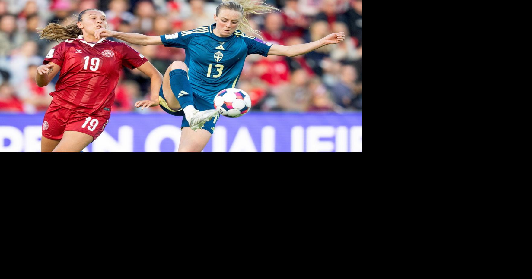 Denmark Sweden Soccer