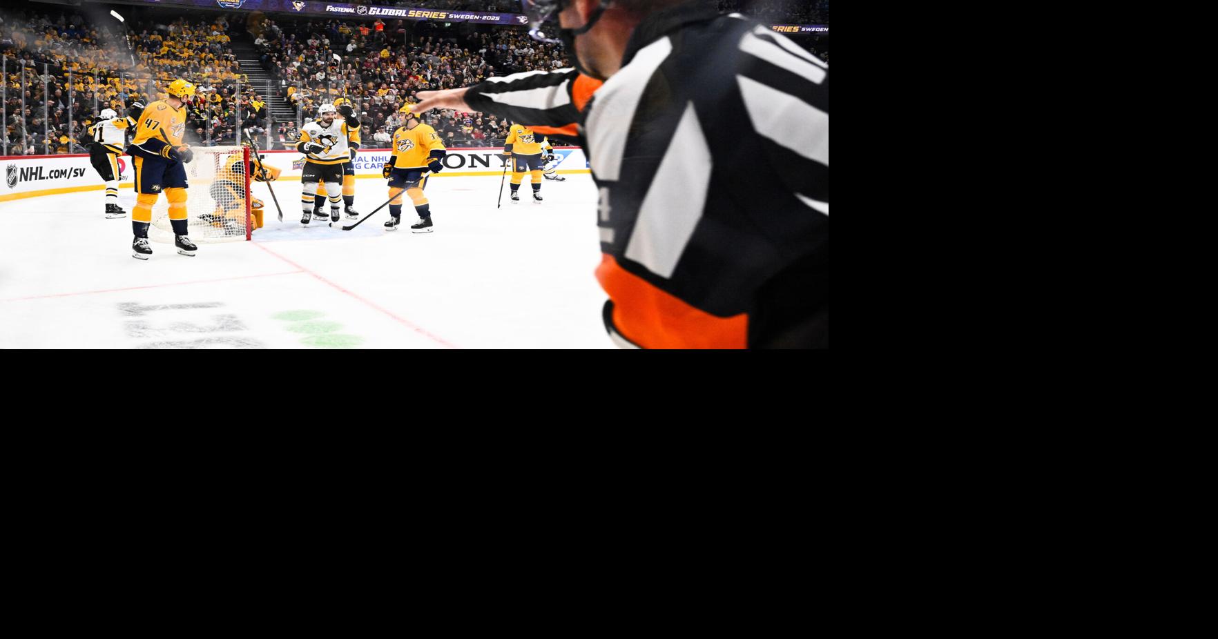 Sweden Predators Penguins Hockey