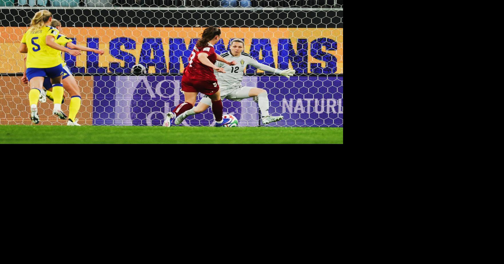 WCup Sweden Denmark Soccer