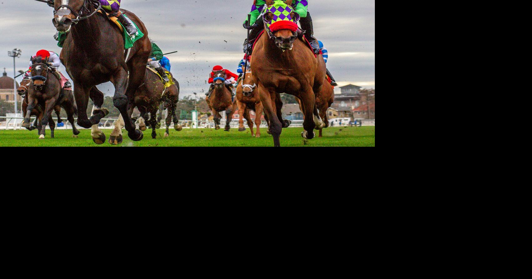 New Orleans Fair Grounds Horse Racing