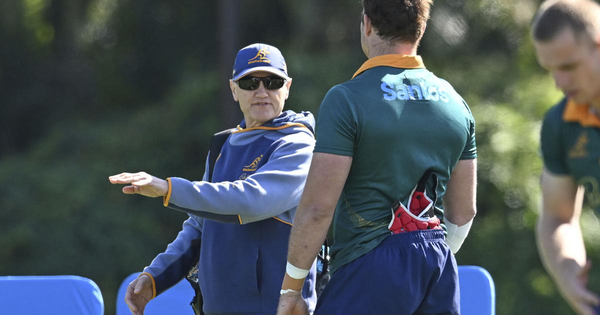 Australia Rugby Lions