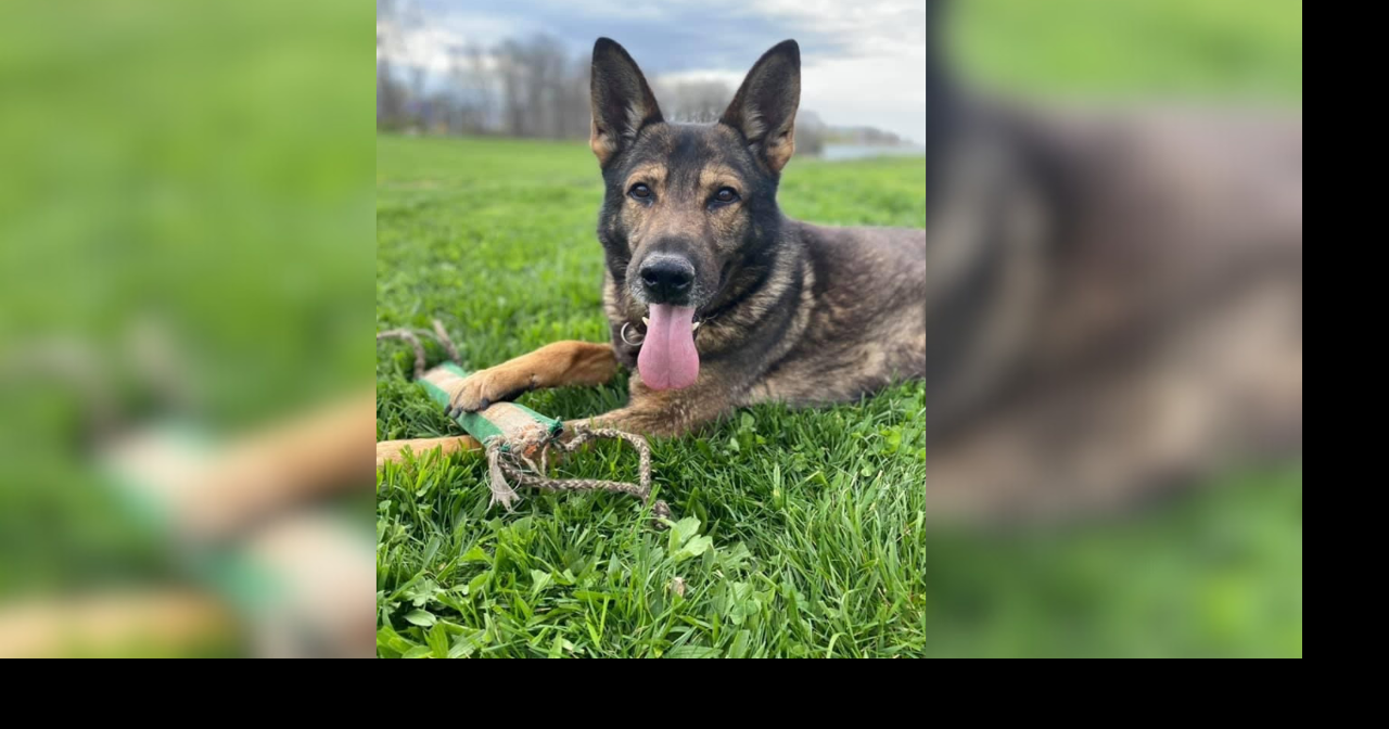 Indiana State Police Lafayette District remembers late K-9 Jordy