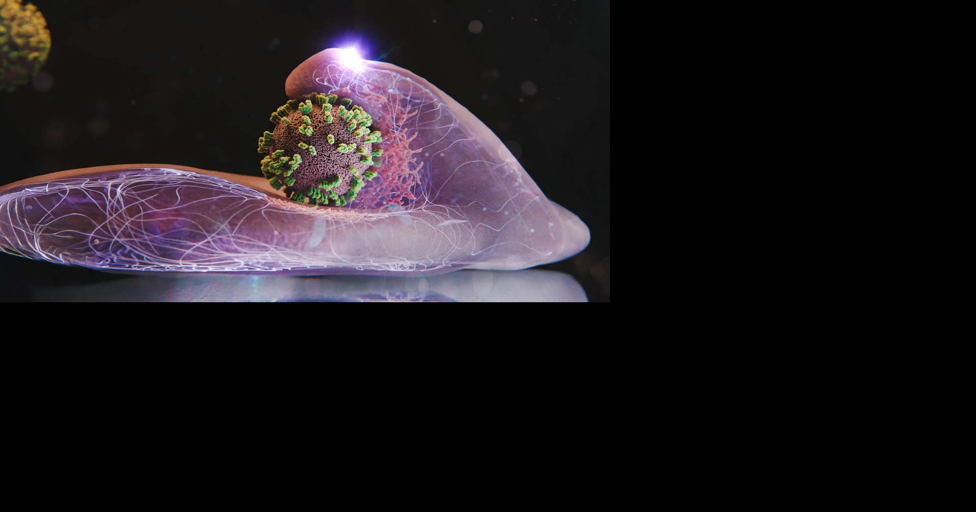 Scientists capture exact moment person catches the flu