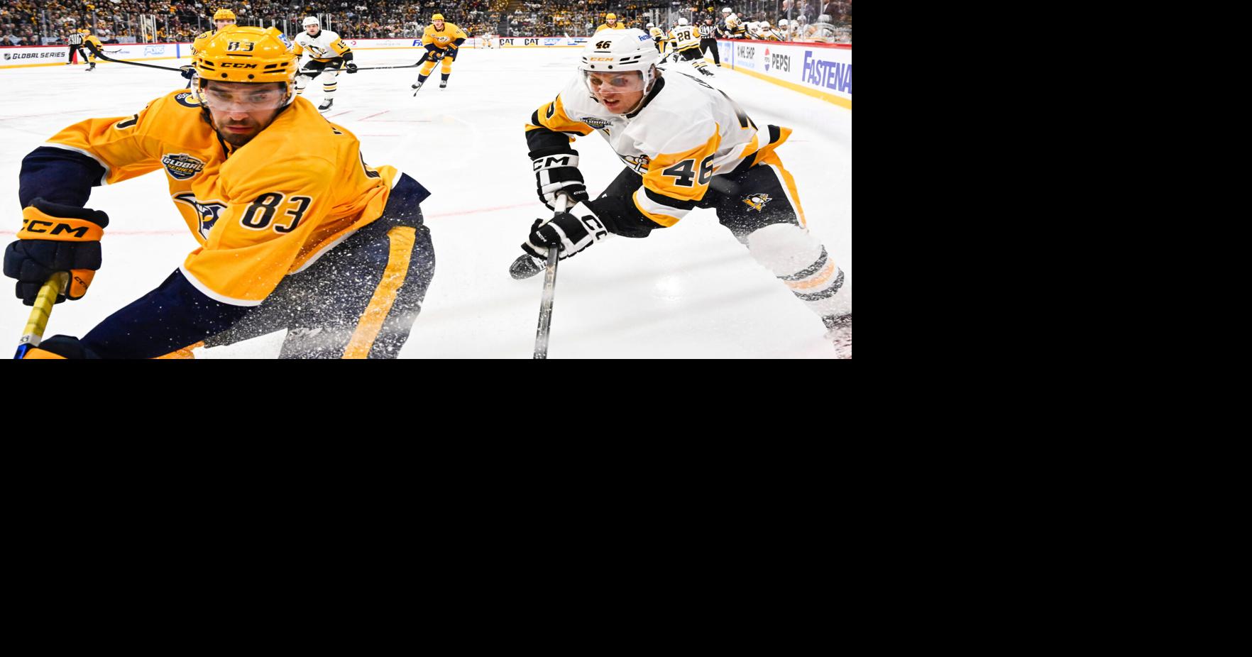 Sweden Predators Penguins Hockey