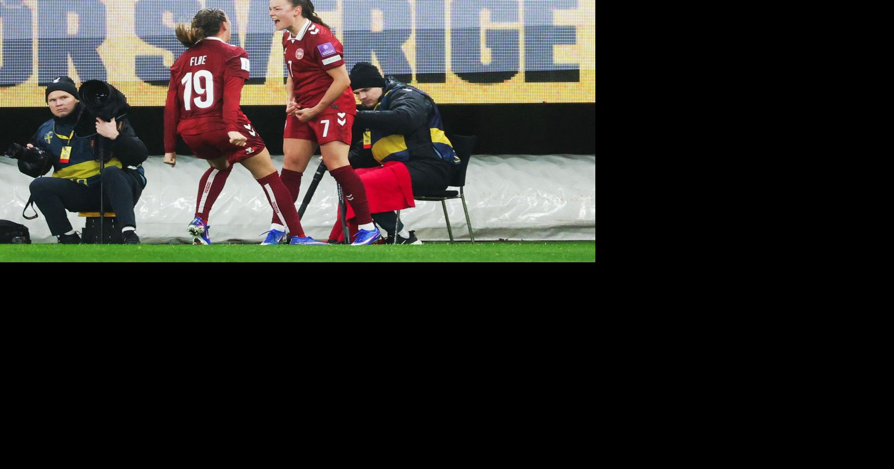 WCup Sweden Denmark Soccer