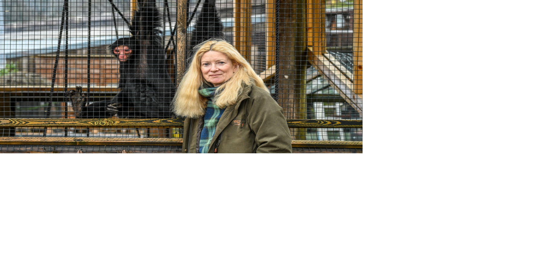 Boom in exotic animals being sold on social media