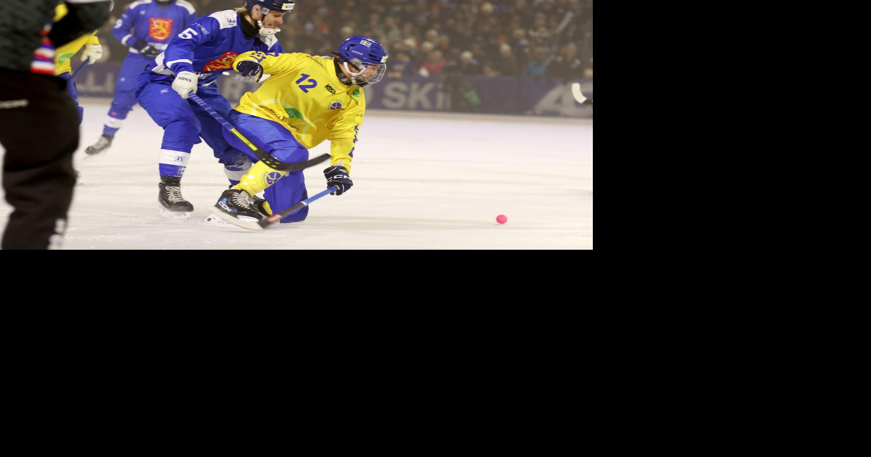 Finland Bandy