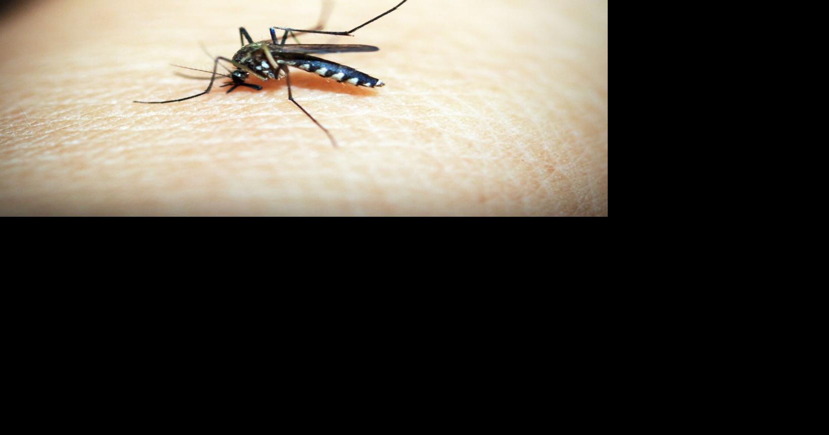West Nile virus detected in Atlanta, precautions urged