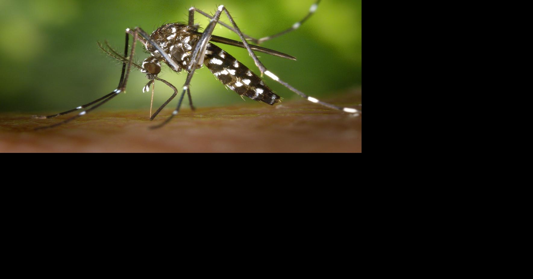 West Nile virus found in mosquito trap at South Fulton park