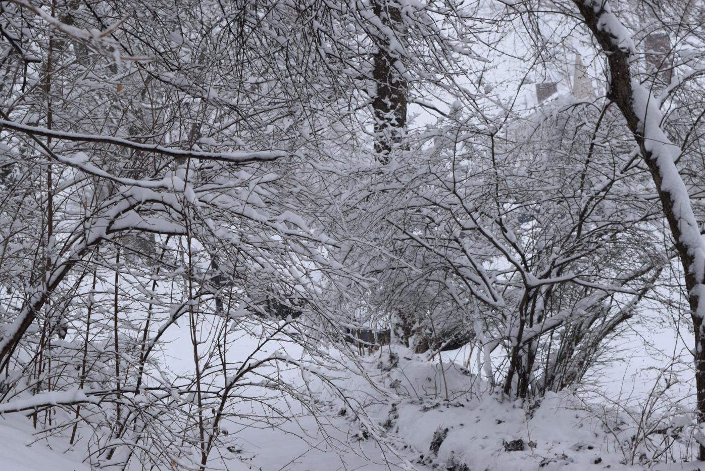 Feb. 3 update: More weather-related cancellations in the Fort ...