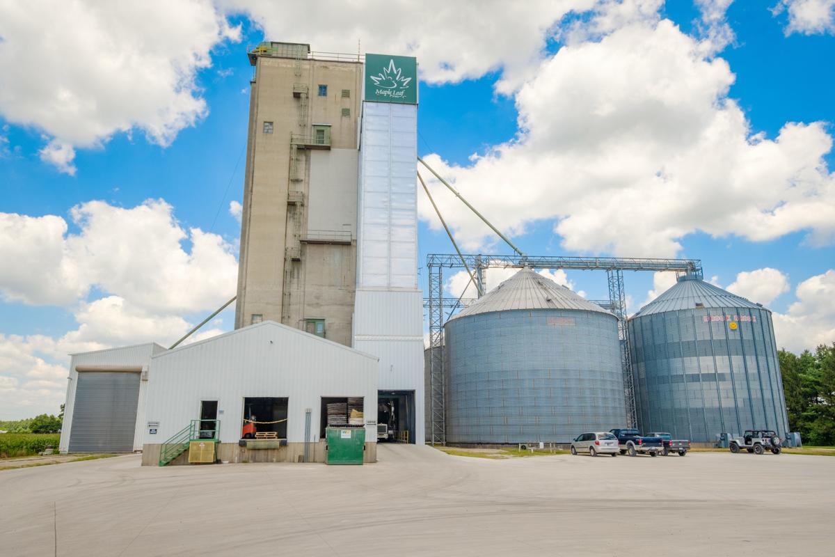 Maple Leaf creates Farm to Fork campaign Fwbusiness