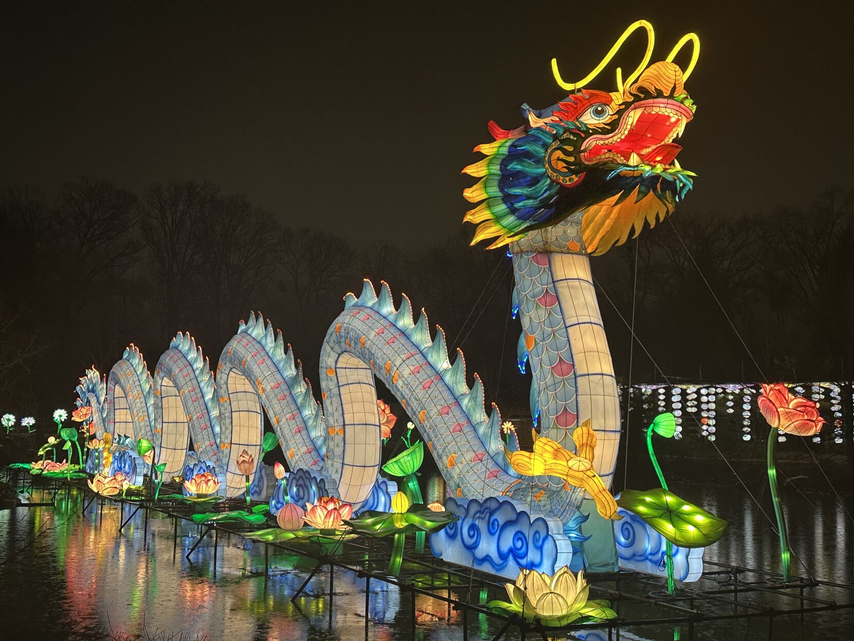 March 5: Fort Wayne Zoo's Glo Wild lights up the night | News