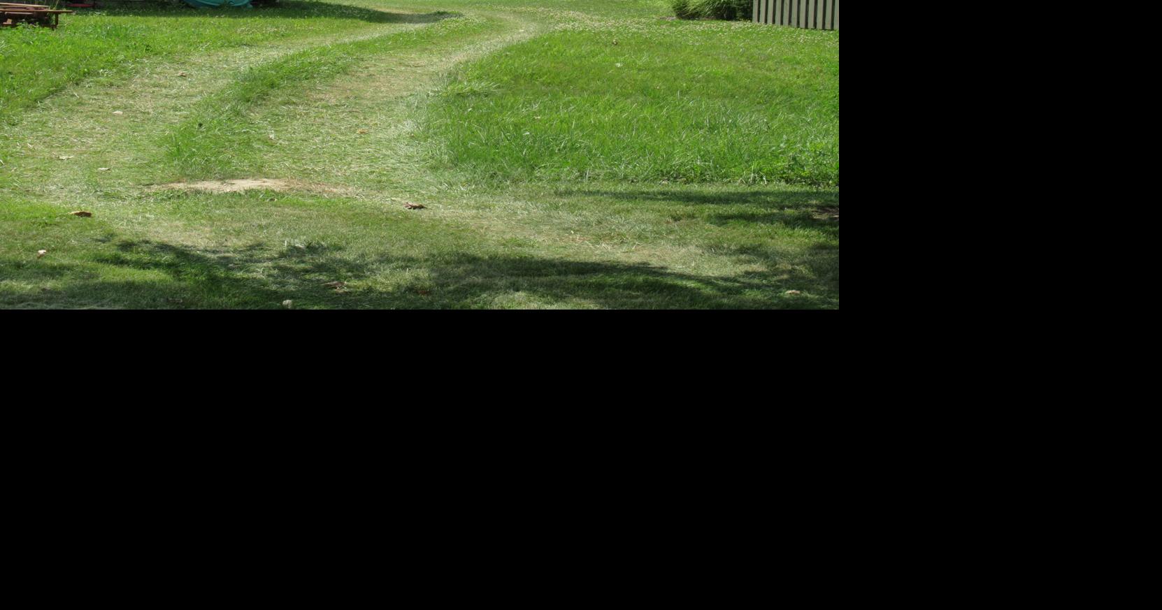 July 20 Huntertown Town Council discusses unauthorized Woods Road