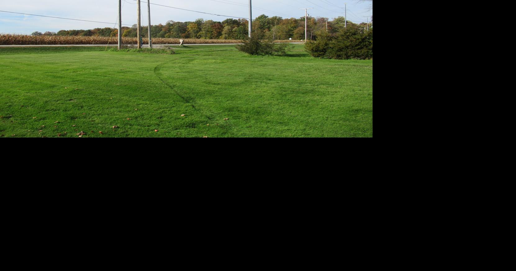 Front yard