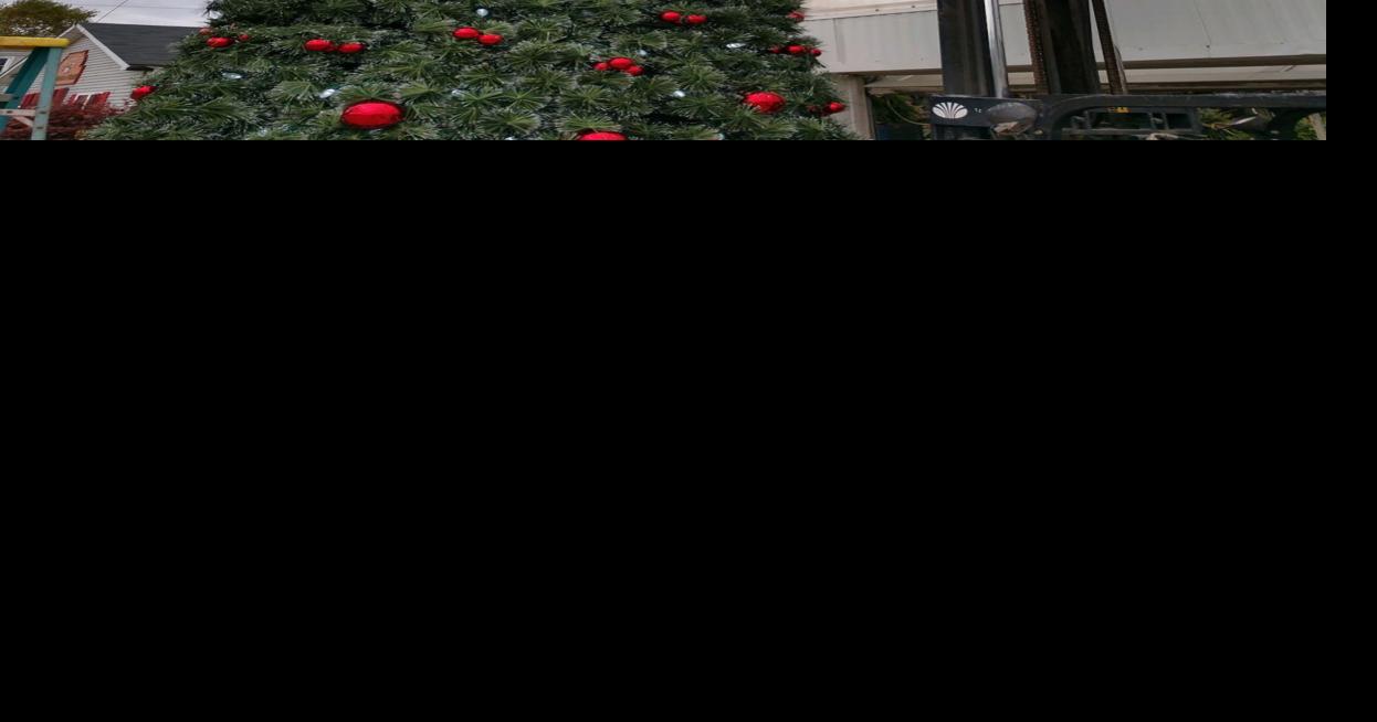 Flagstar brings back downtown Fort Wayne Christmas tree Fwbusiness