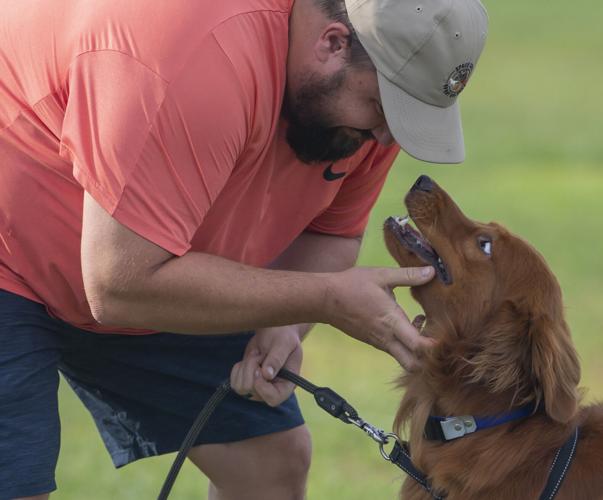 Galveston Kennel Club hosts dog coursing trials Local News The Daily News