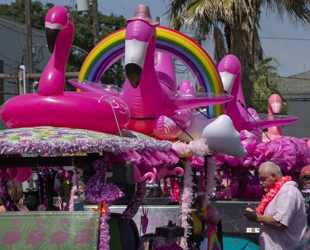 ‘Flamingos’ flock to downtown Galveston for annual parade Local News