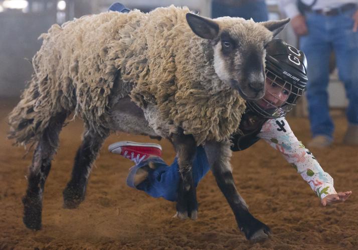 County kicks off first Saturday of Fair & Rodeo Local News The