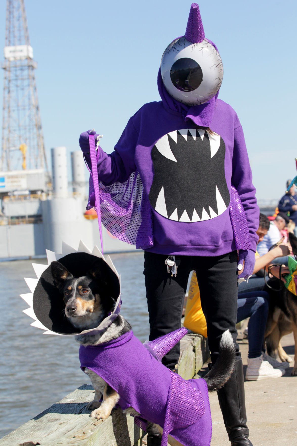 Photos 18th annual Krewe of Barkus and Meoux Parade In Focus The