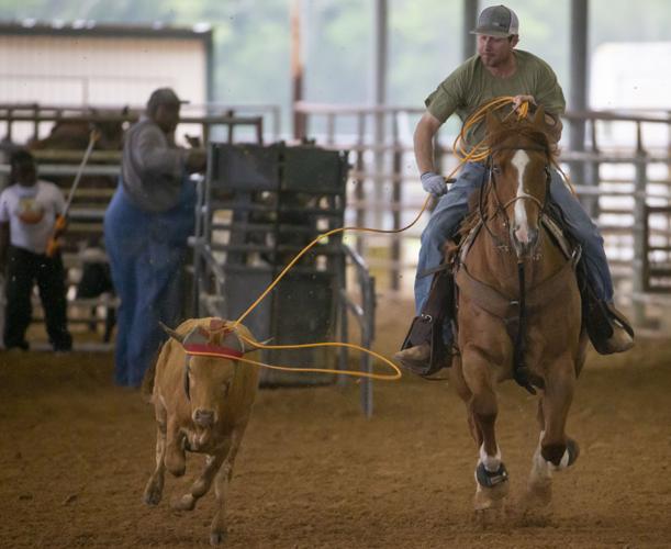 Galveston County Fair & Rodeo Local News The Daily News