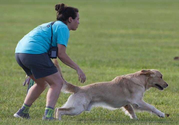 Galveston Kennel Club hosts dog coursing trials Local News The Daily News