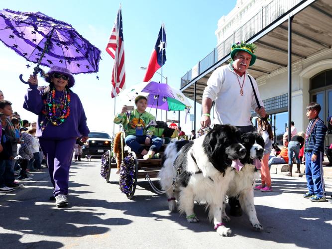 Krewe of Barkus and Meoux and the Children's Parade Local News The